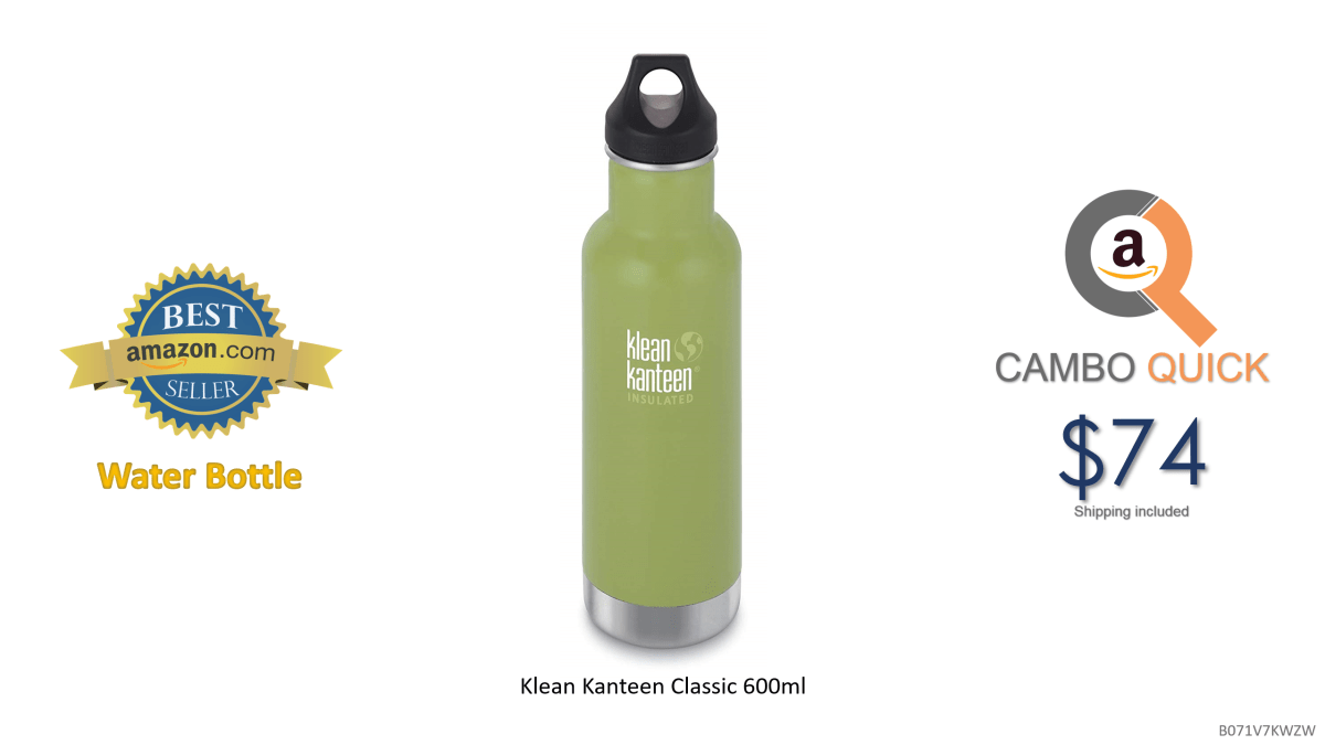 Klean Kanteen Classic 600ml.png