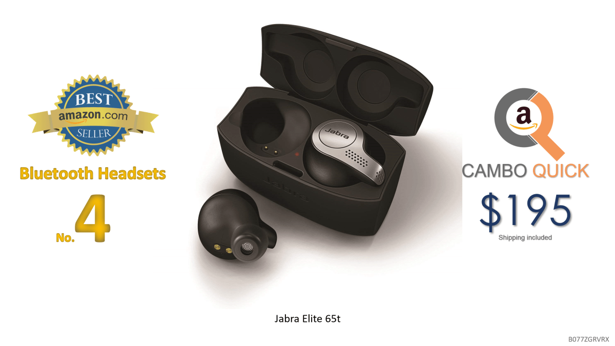 Jabra Elite 65t Alexa Enabled True Wireless Earbuds Charging Case – Titanium Black